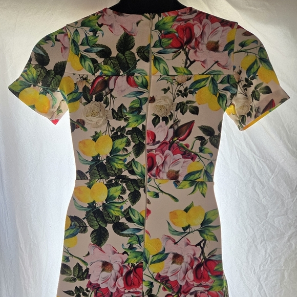 Beautiful Lemon Rose Dress - Picture 8 of 12